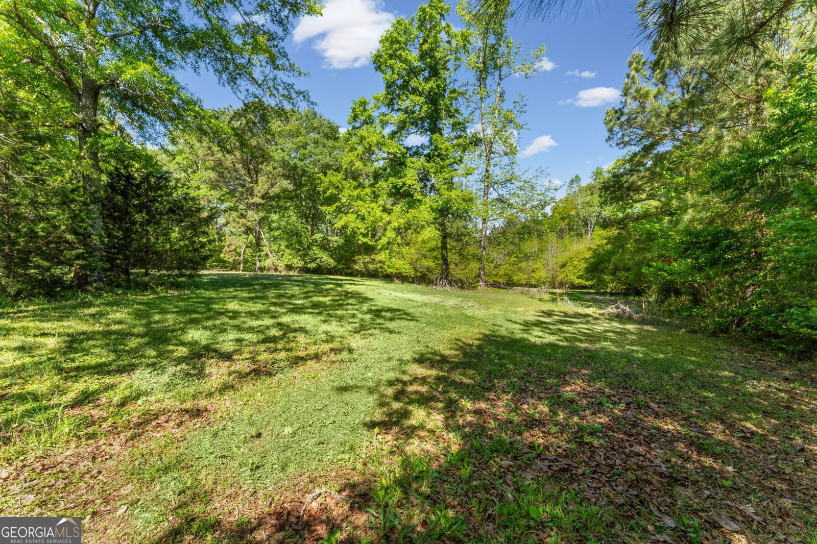 15 Austin Storey Circle Newnan - Photo 43