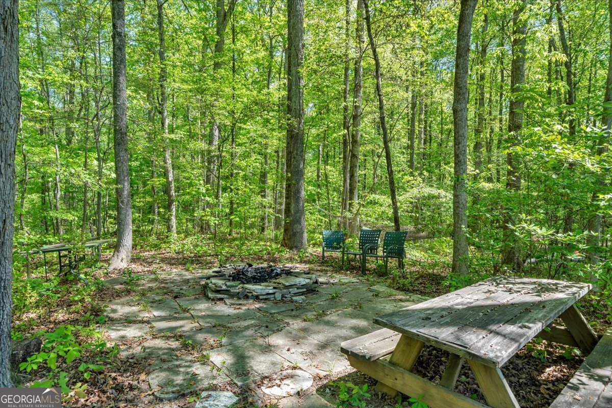 260 Kensington Drive Sharpsburg - Photo 45