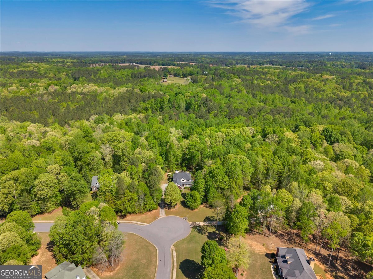 260 Kensington Drive Sharpsburg - Photo 61