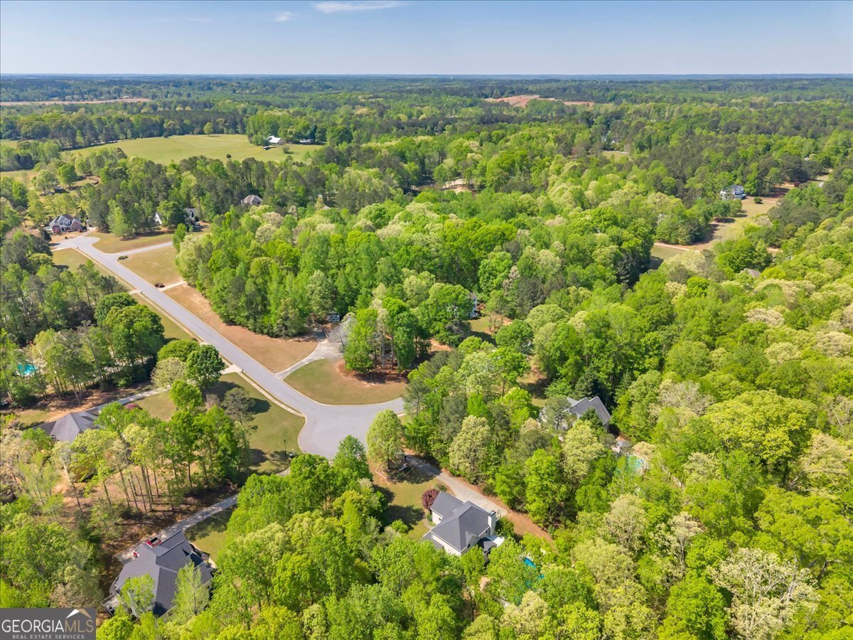 260 Kensington Drive Sharpsburg - Photo 68