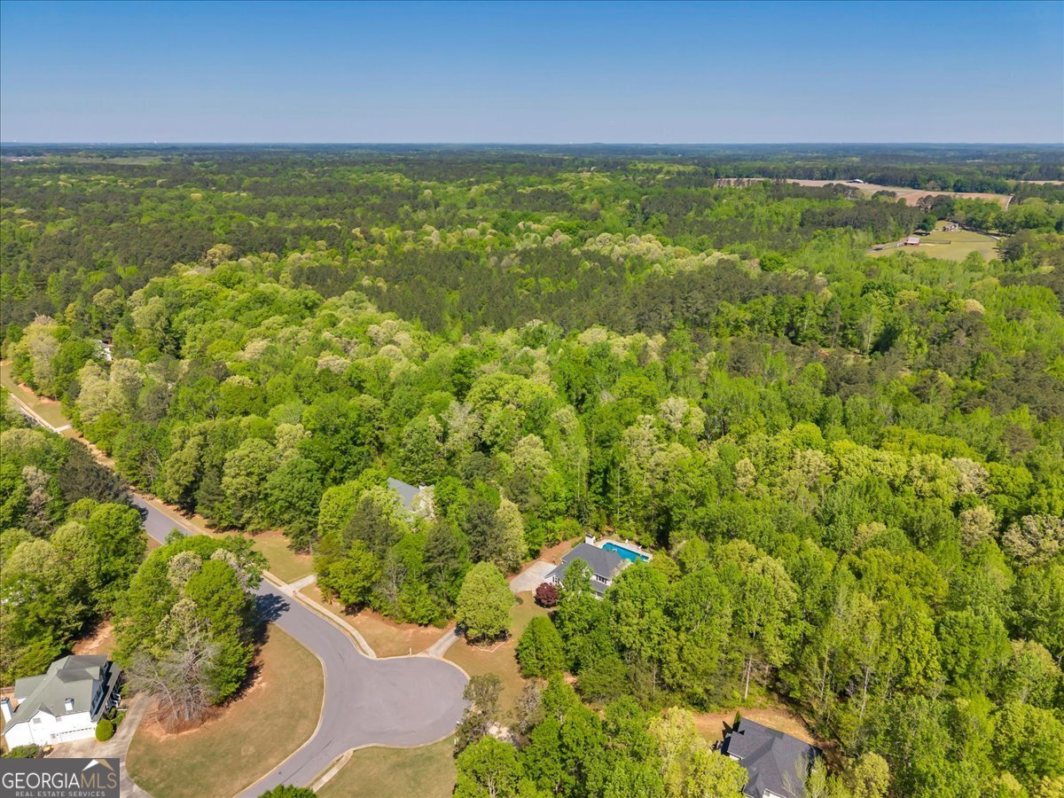 260 Kensington Drive Sharpsburg - Photo 69