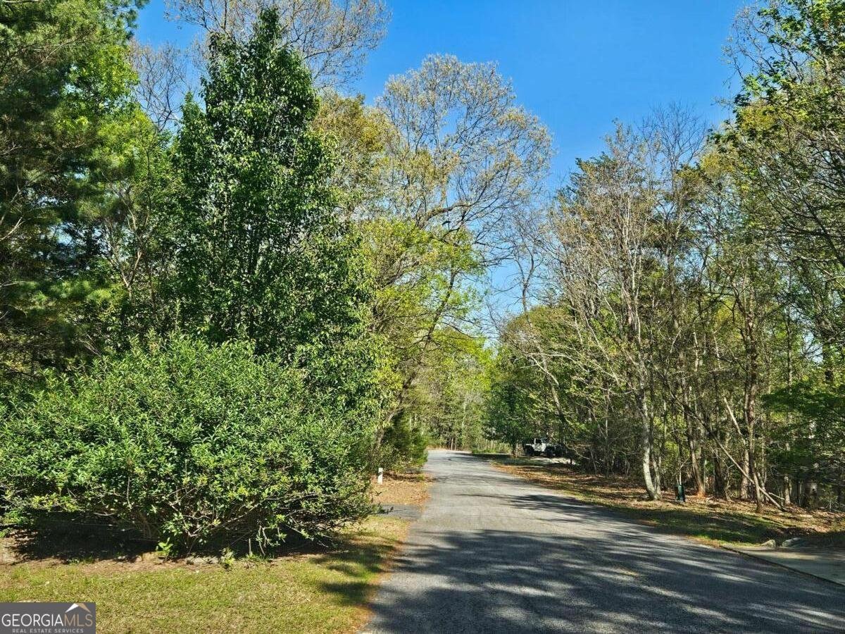 1150 Highland Drive Sautee Nacoochee - Photo 11