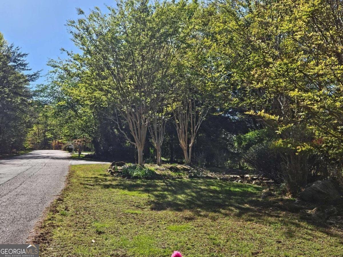 1150 Highland Drive Sautee Nacoochee - Photo 12