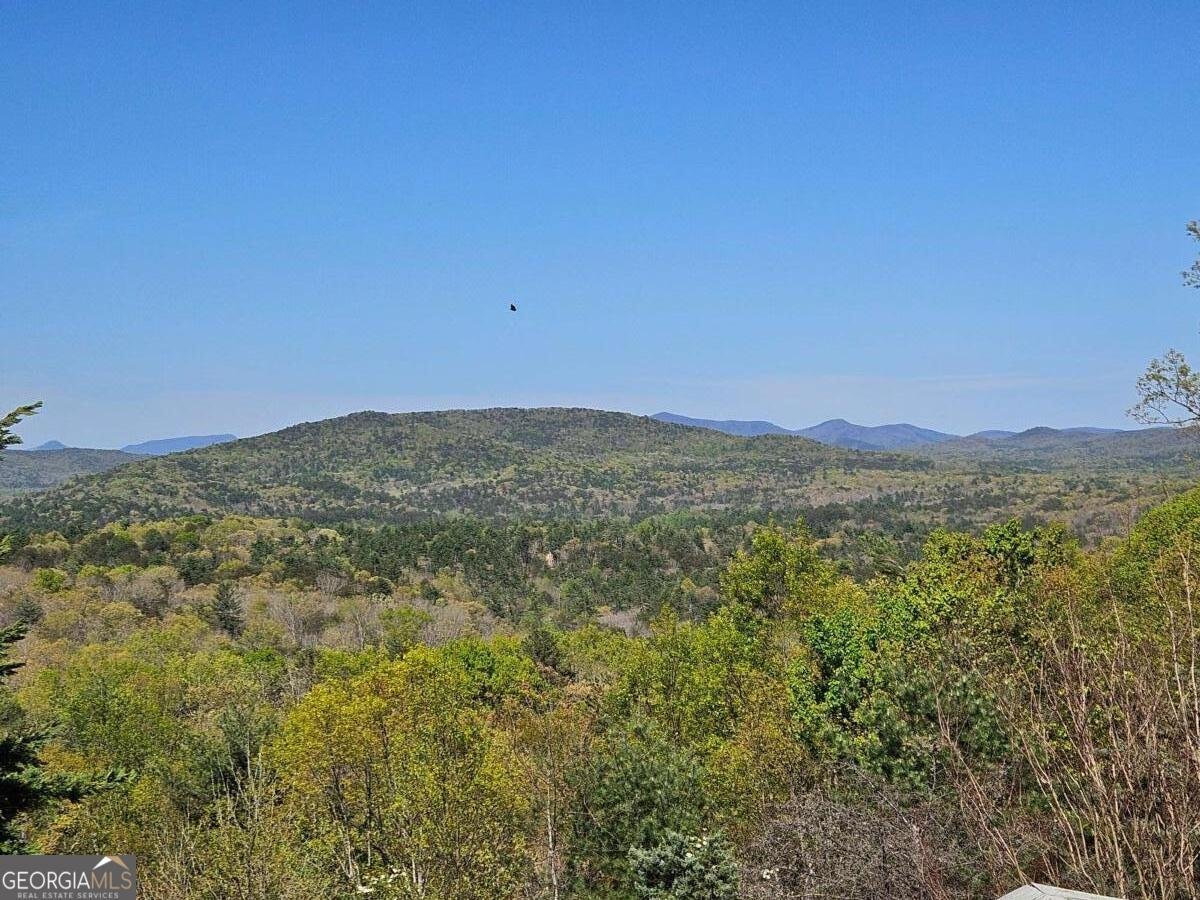 1150 Highland Drive Sautee Nacoochee - Photo 6