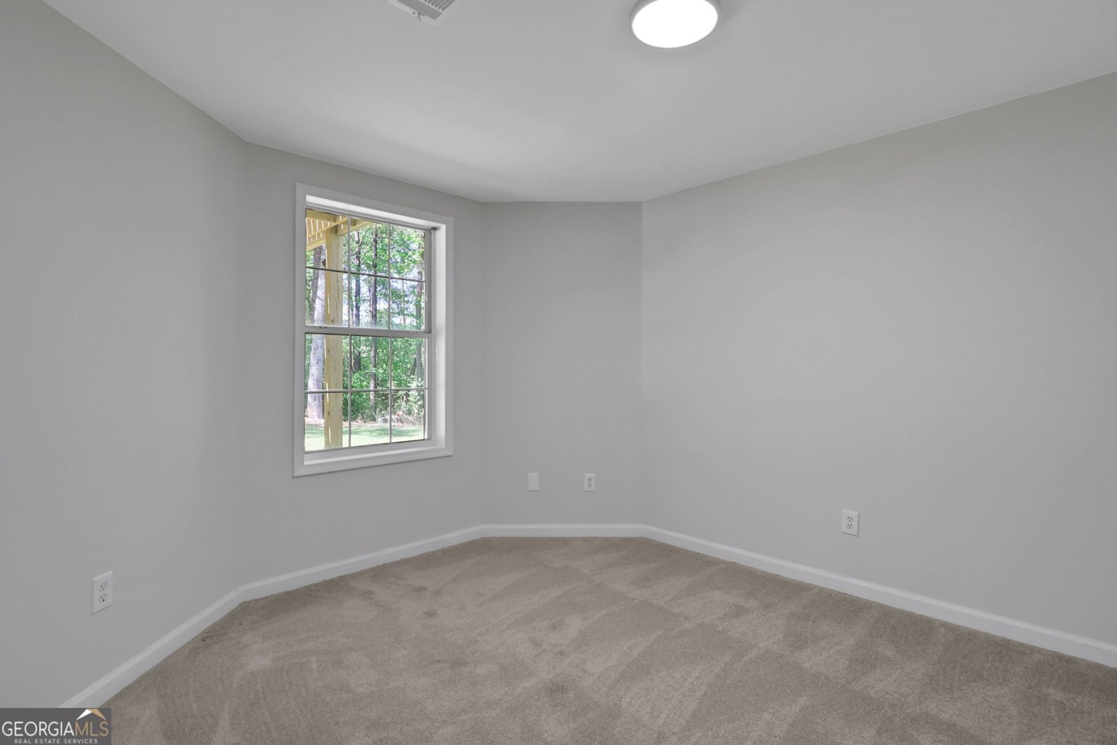 6259 Spring Lake Drive Flowery Branch - Photo 49