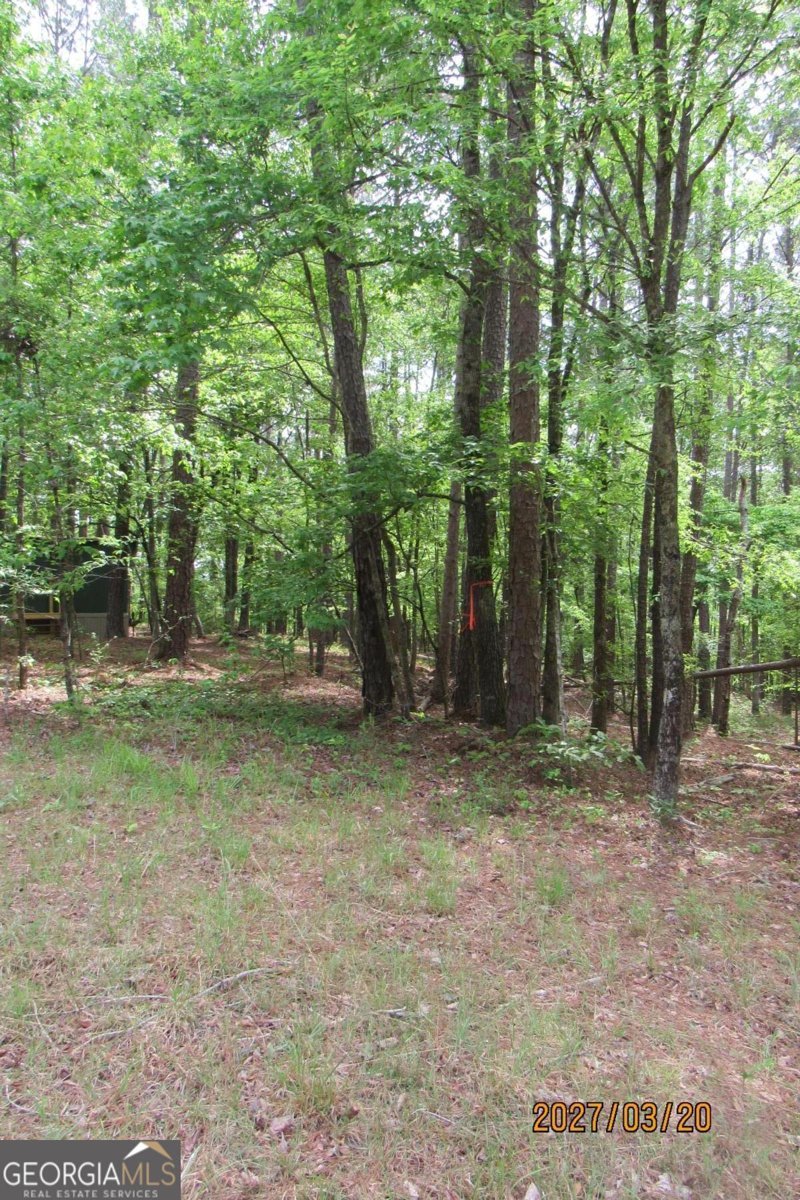 1302 Oconee Drive Sparta - Photo 20