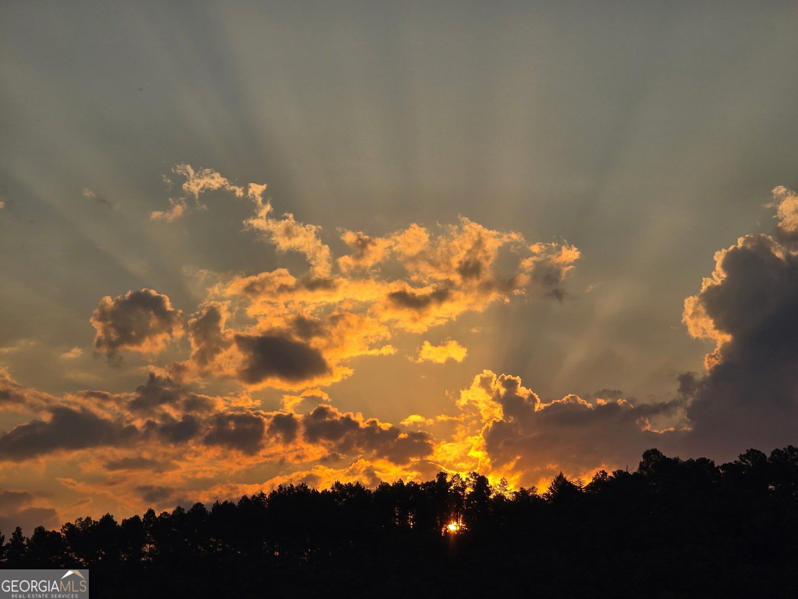 1621 Dover Circle Ranger - Photo 19