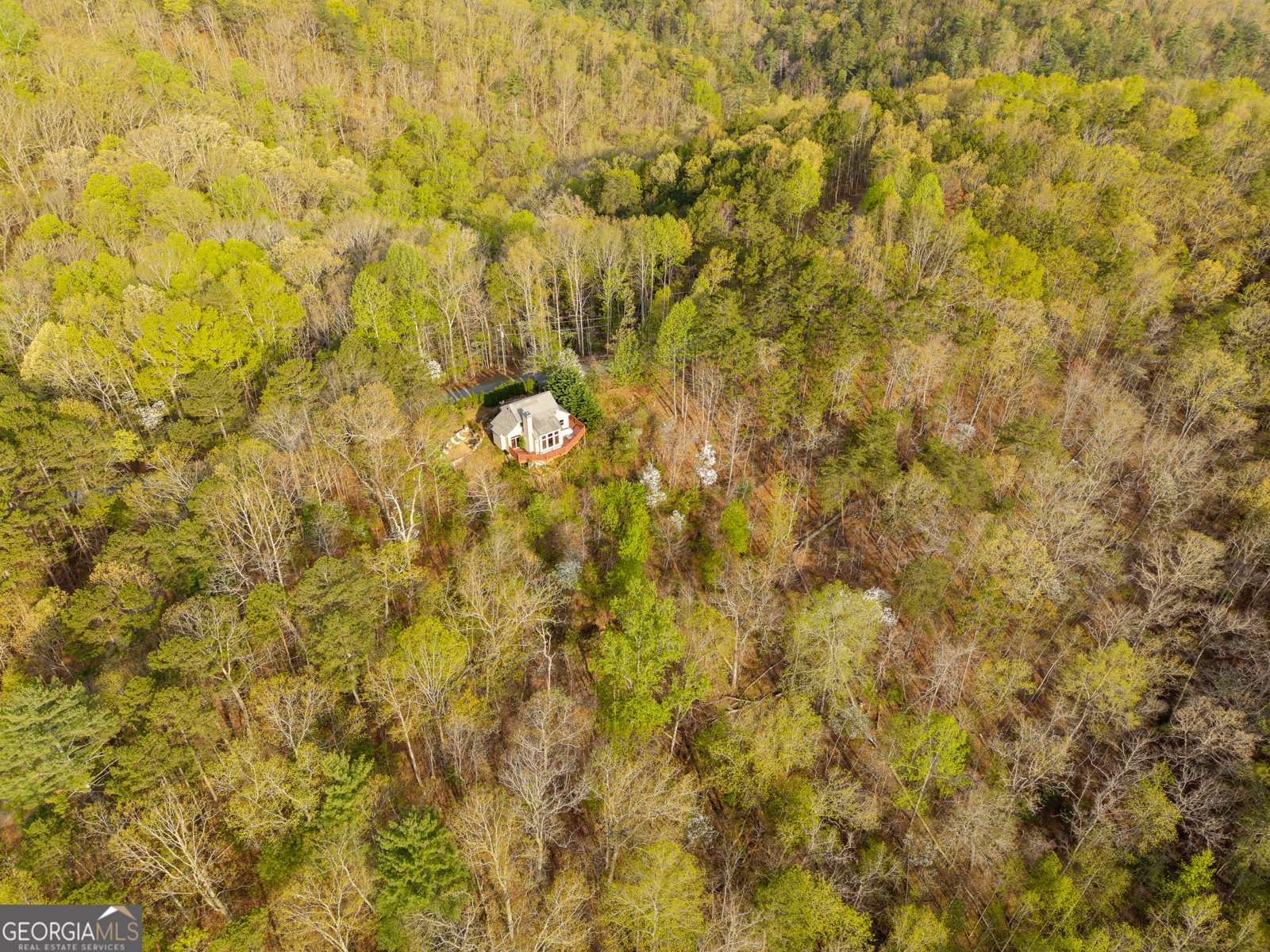 1621 Dover Circle Ranger - Photo 31