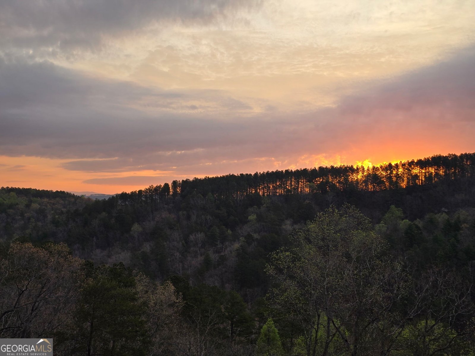 1621 Dover Circle Ranger - Photo 36