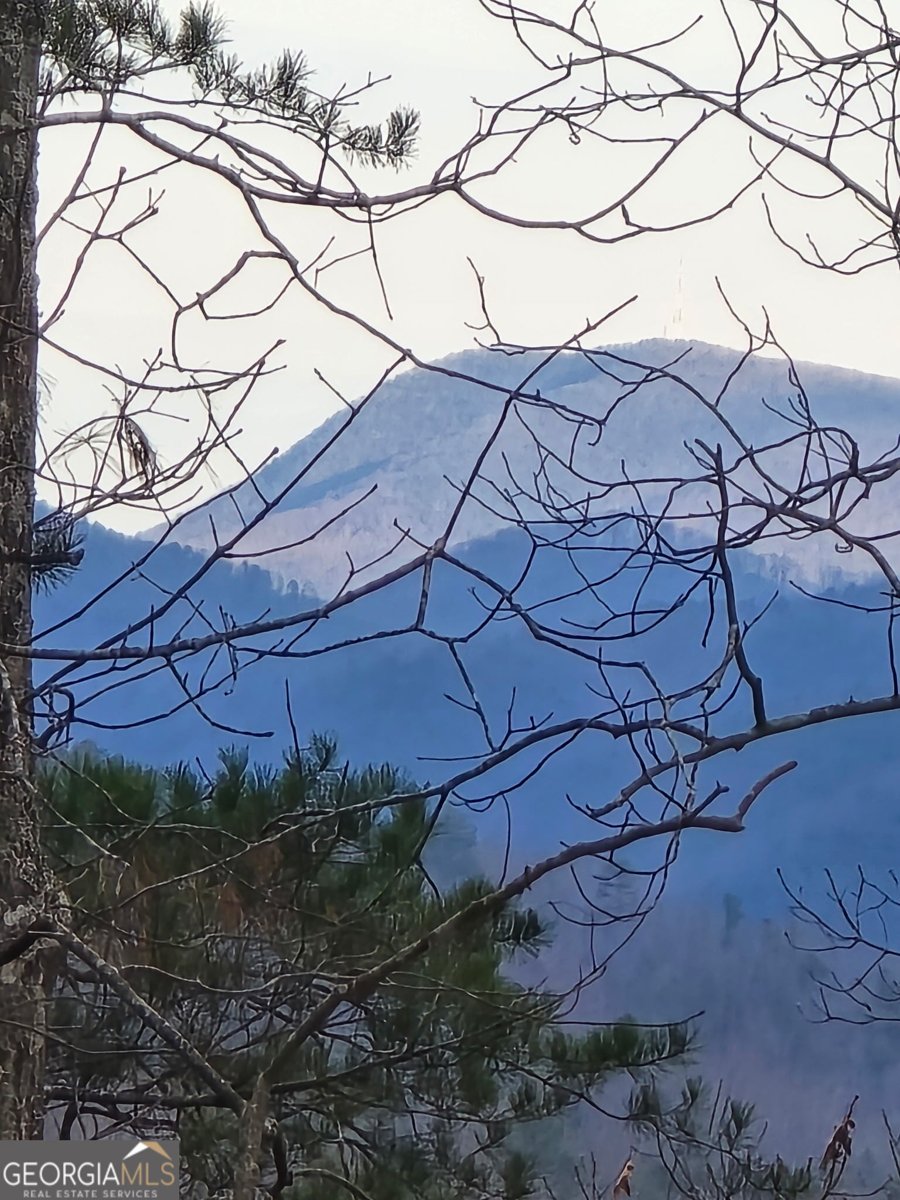 1621 Dover Circle Ranger - Photo 39