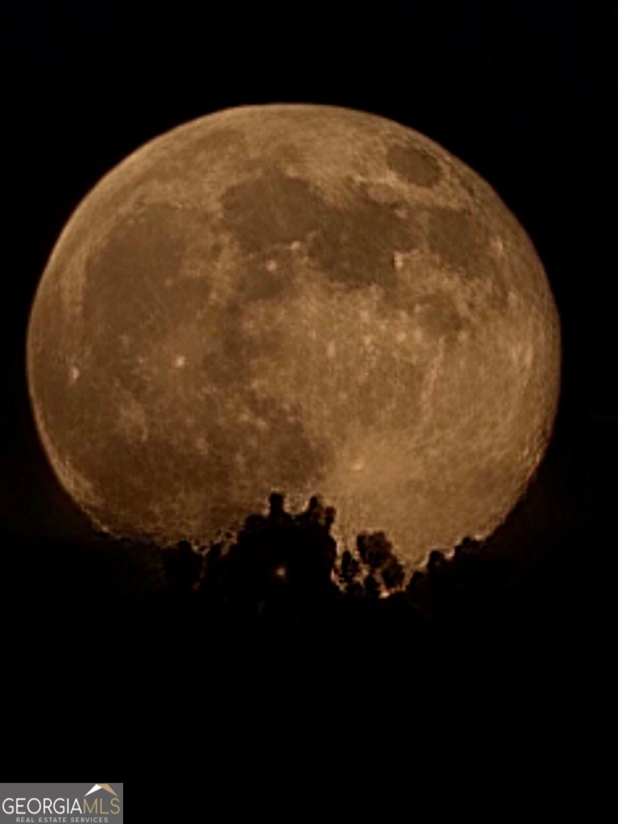 1621 Dover Circle Ranger - Photo 40