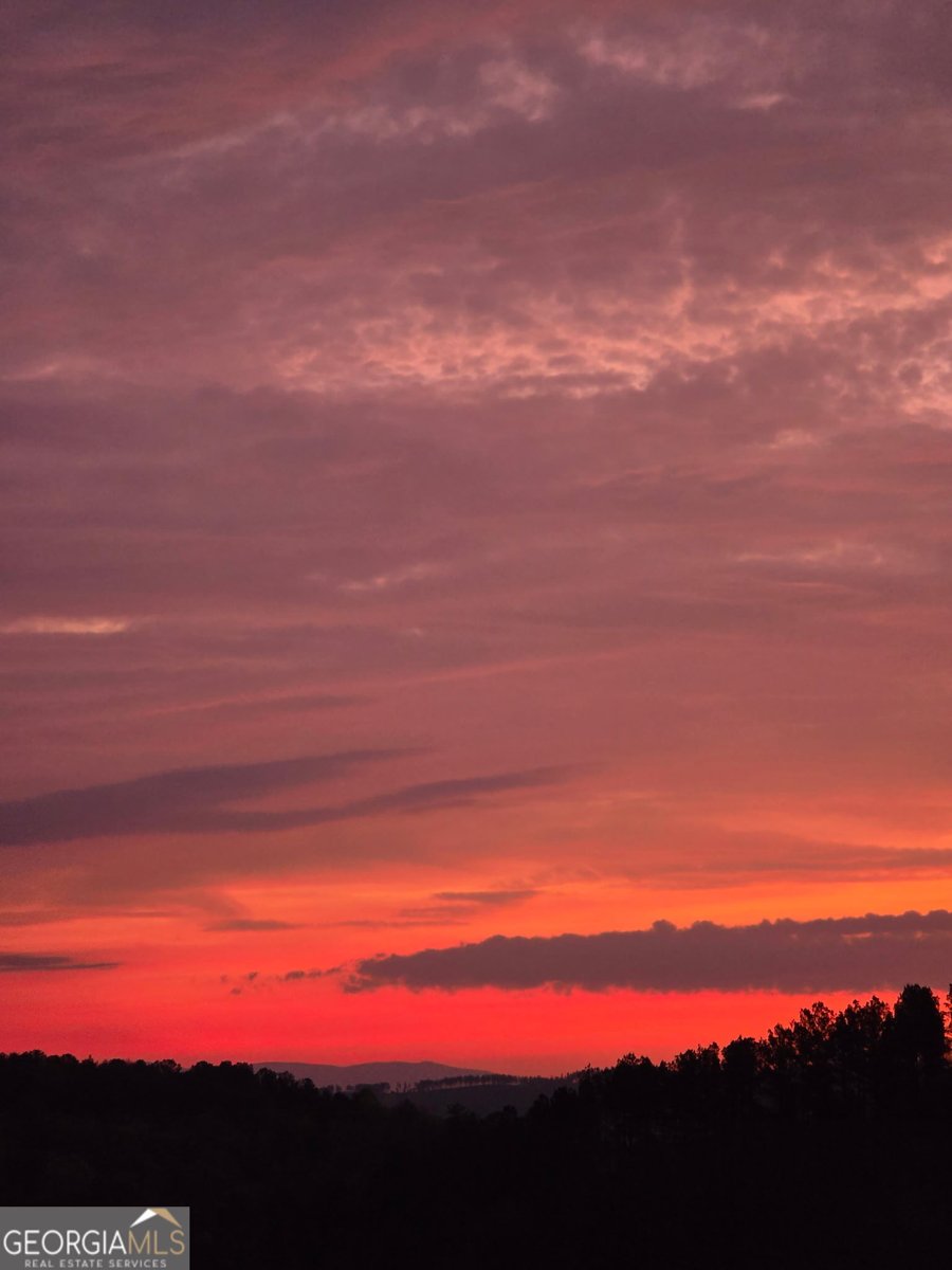 1621 Dover Circle Ranger - Photo 41