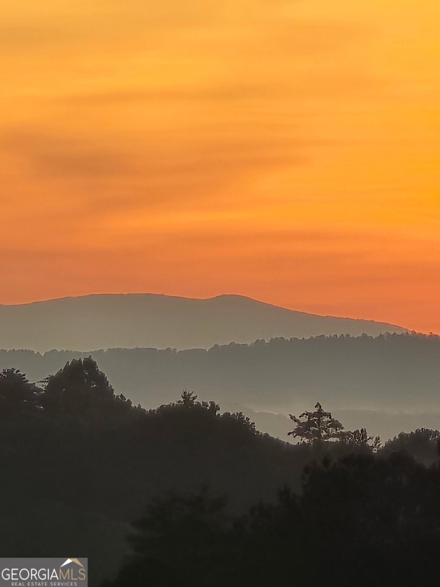 1621 Dover Circle Ranger - Photo 42