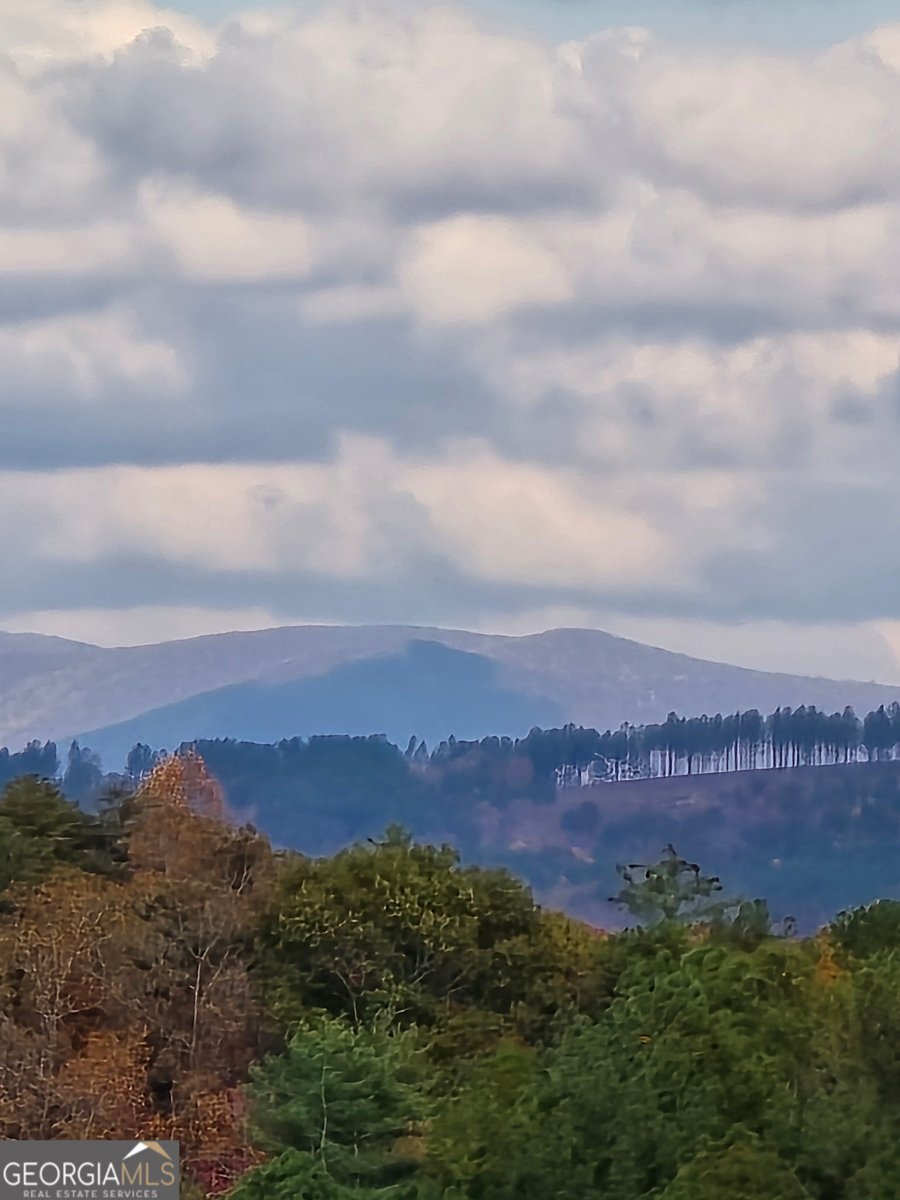 1621 Dover Circle Ranger - Photo 45