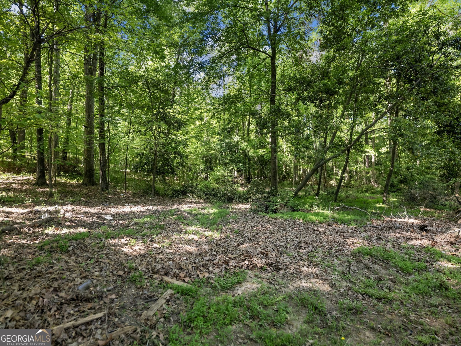 3395 Rockview Court Lithonia - Photo 41