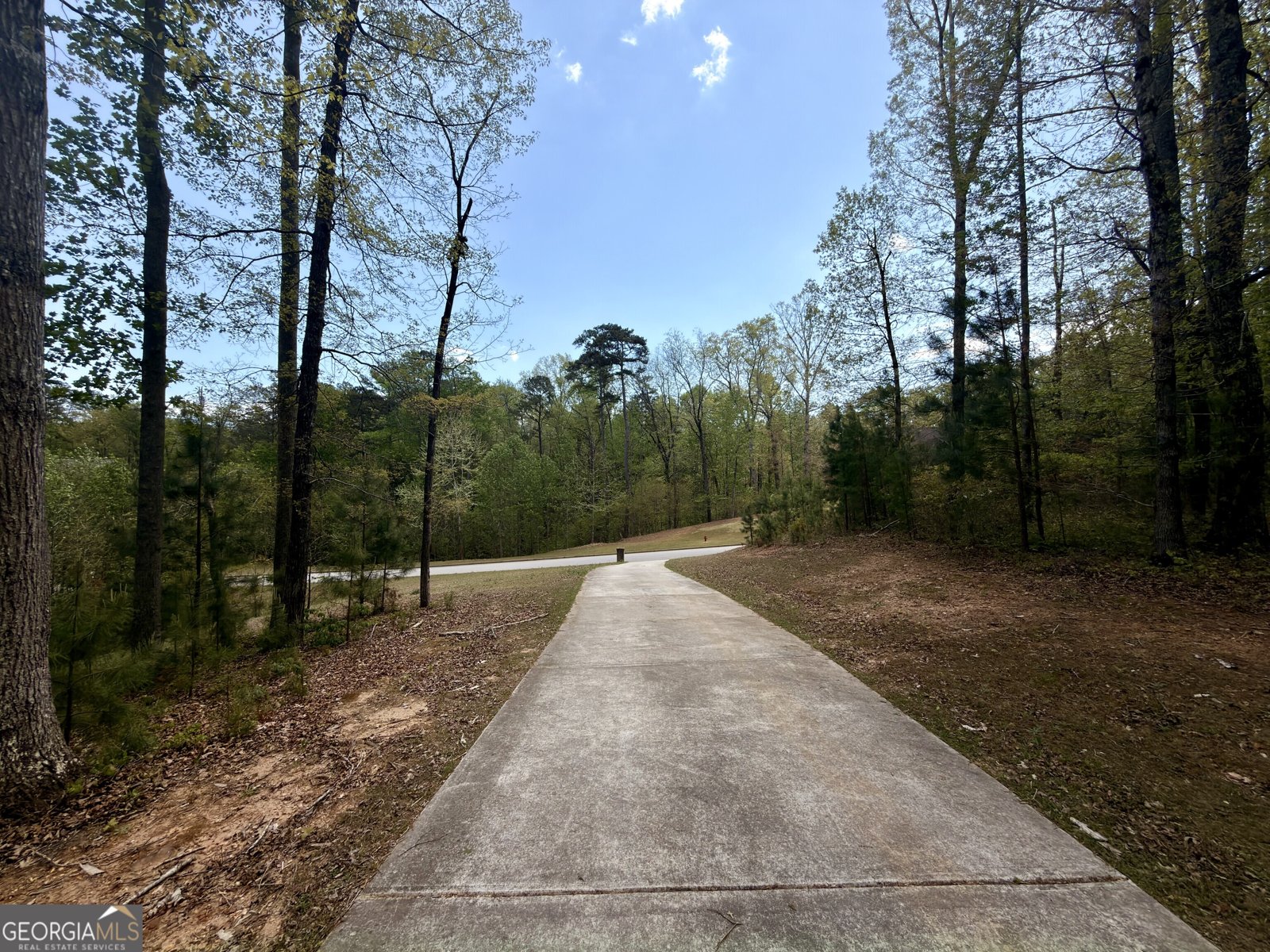 178 Dakotahs Bend Newnan - Photo 12