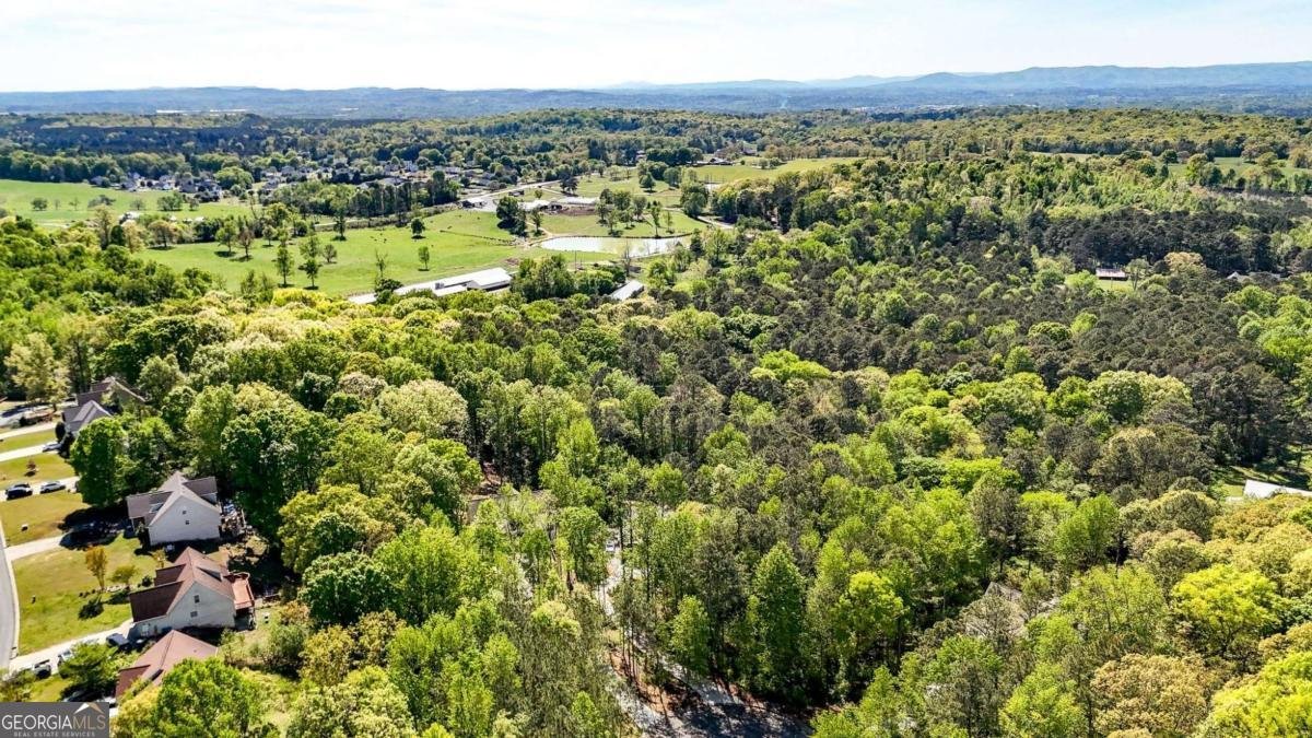 366 Orchard Way Calhoun - Photo 13