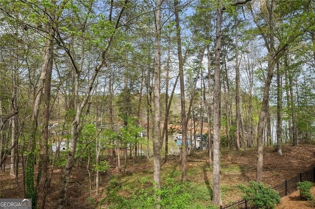 407 Waterfront Park Lane Dawsonville - Photo 67