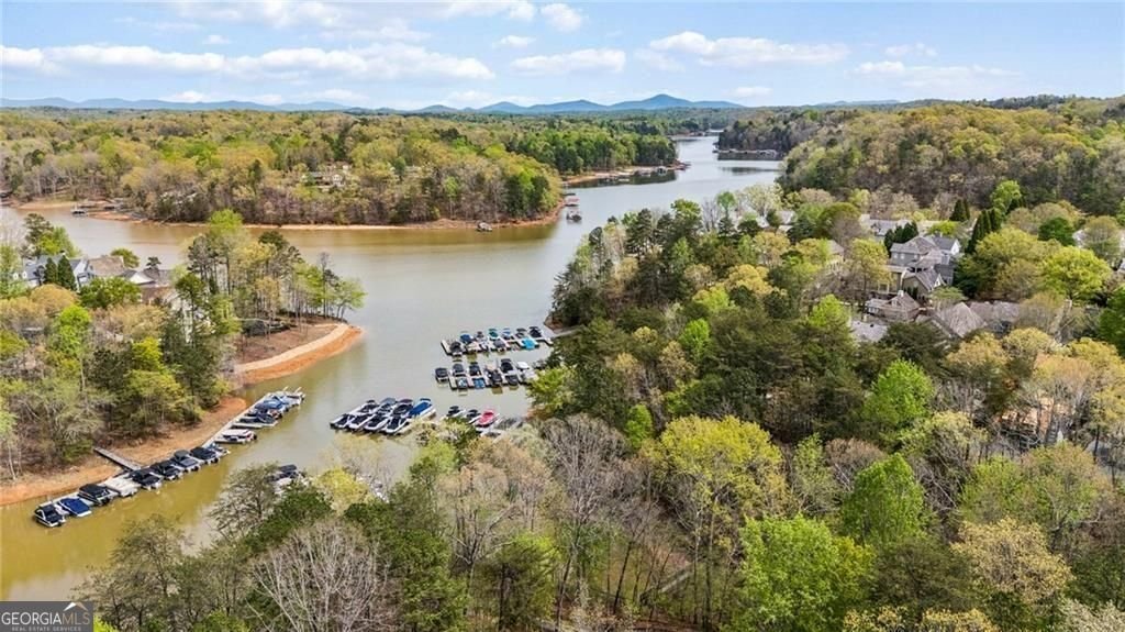 407 Waterfront Park Lane Dawsonville - Photo 80