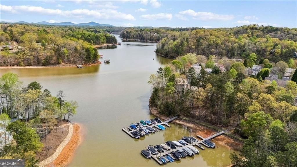 407 Waterfront Park Lane Dawsonville - Photo 81