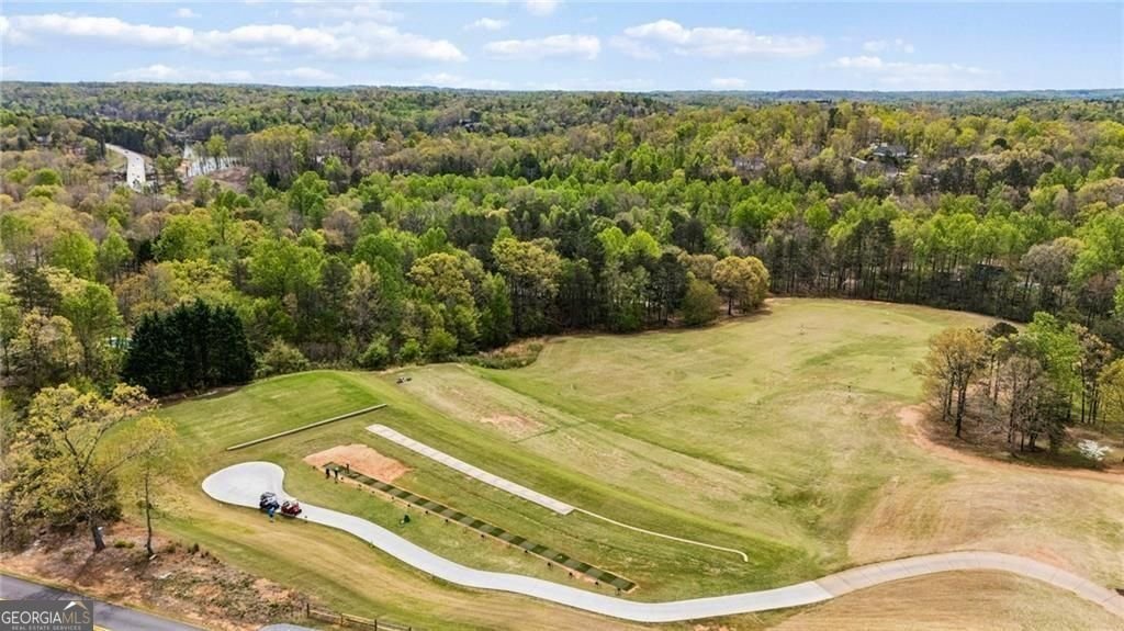 407 Waterfront Park Lane Dawsonville - Photo 87