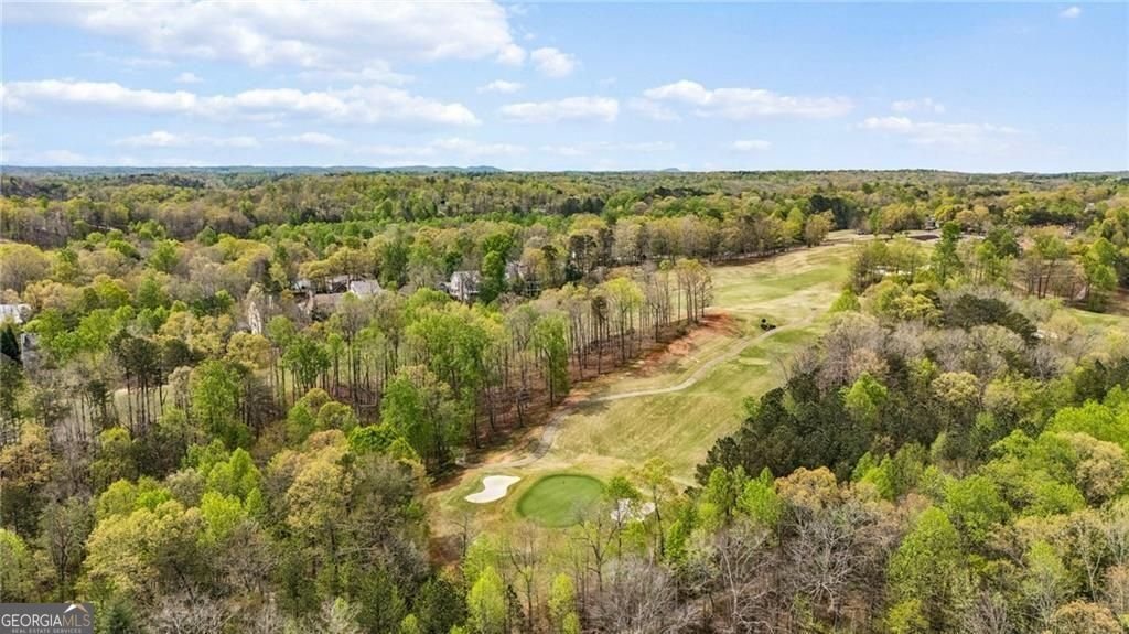 407 Waterfront Park Lane Dawsonville - Photo 88