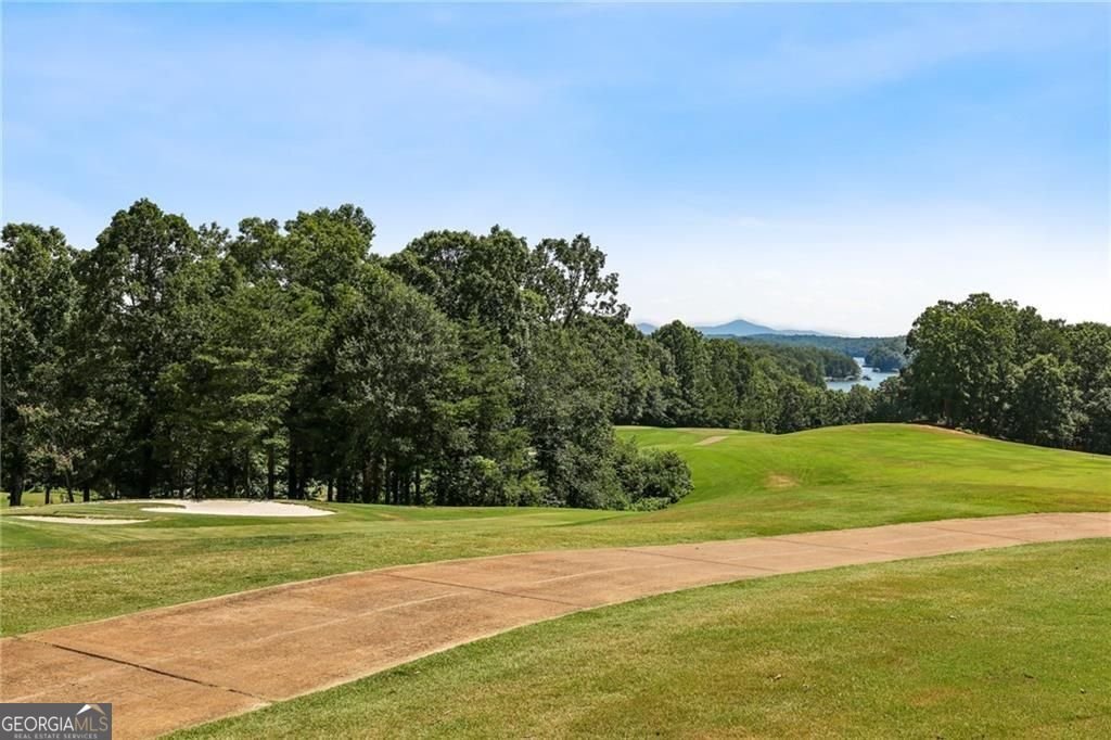 407 Waterfront Park Lane Dawsonville - Photo 89