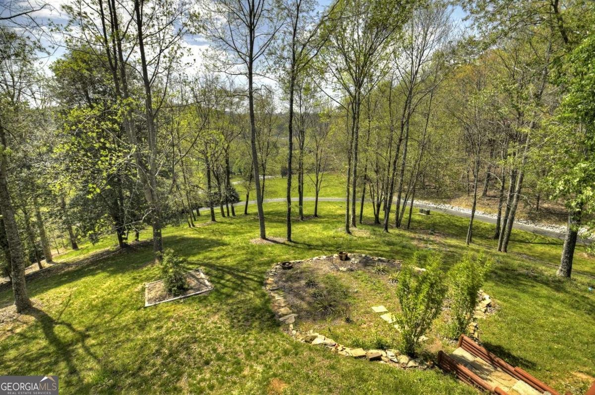 256 Bailey Farm Lane Mineral Bluff - Photo 8