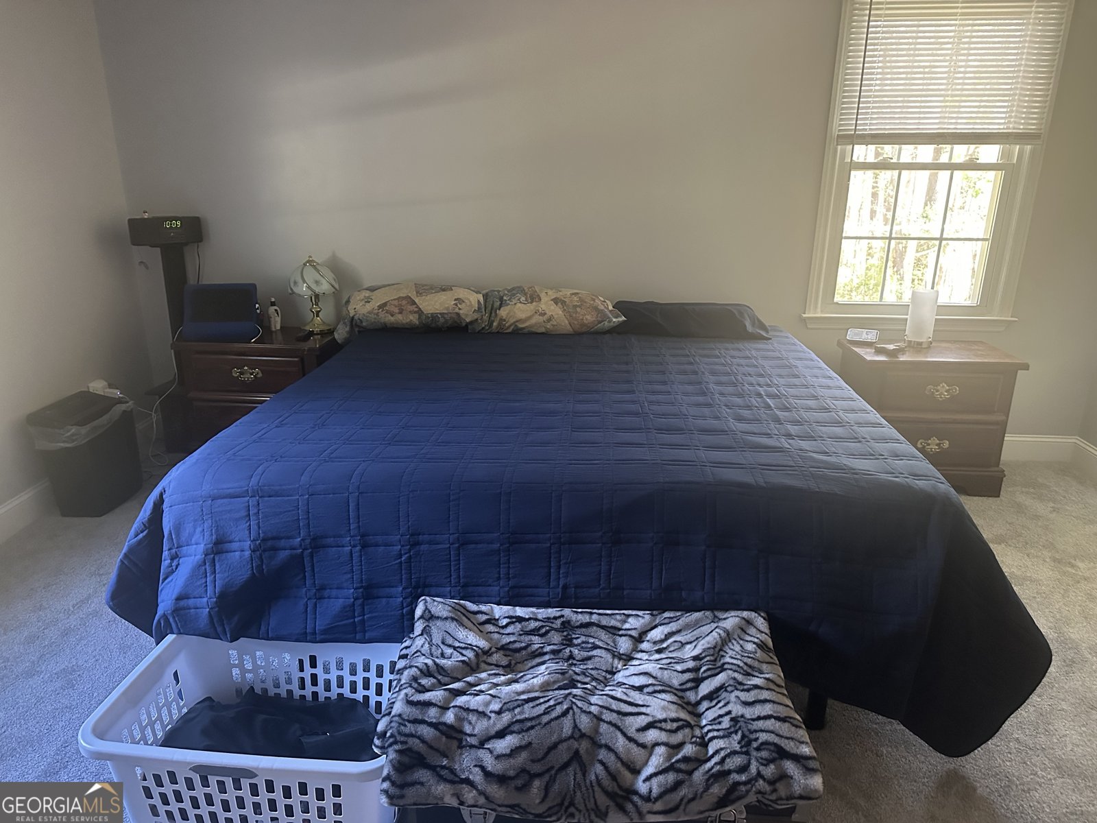 208 Ebenezer Church Road Newnan - Photo 10