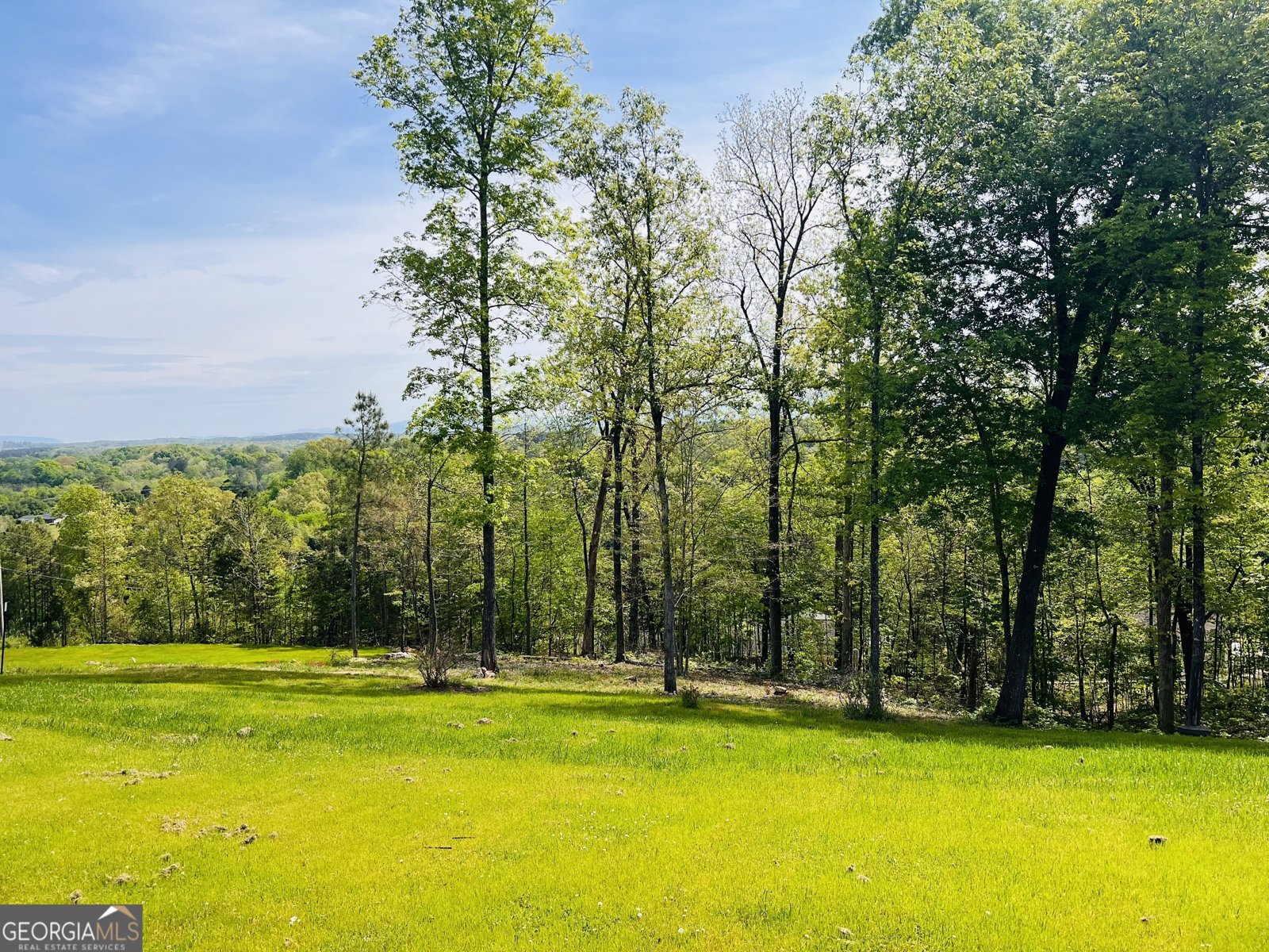 2009 Ashley Lane Dalton - Photo 6