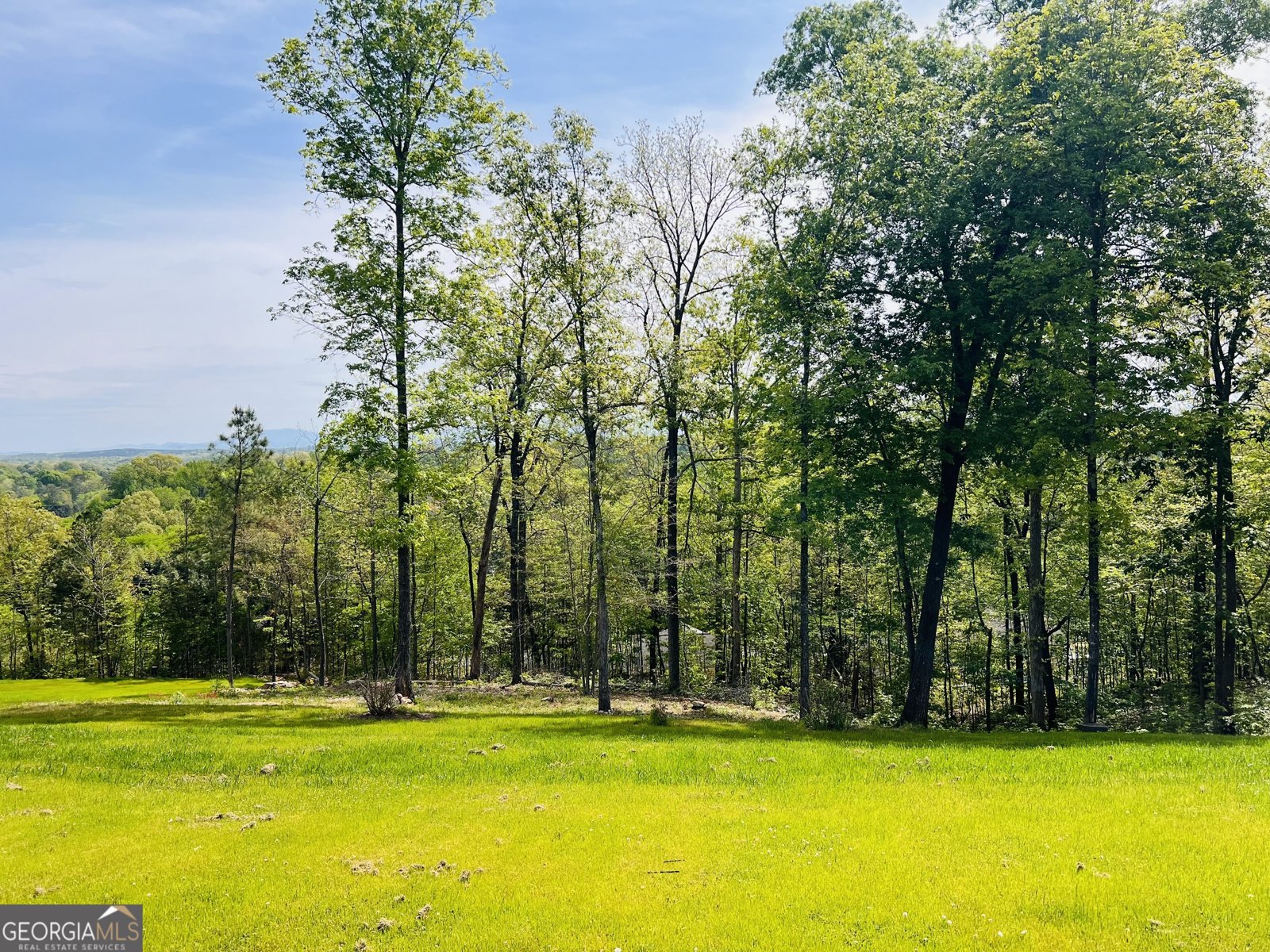 2009 Ashley Lane Dalton - Photo 7