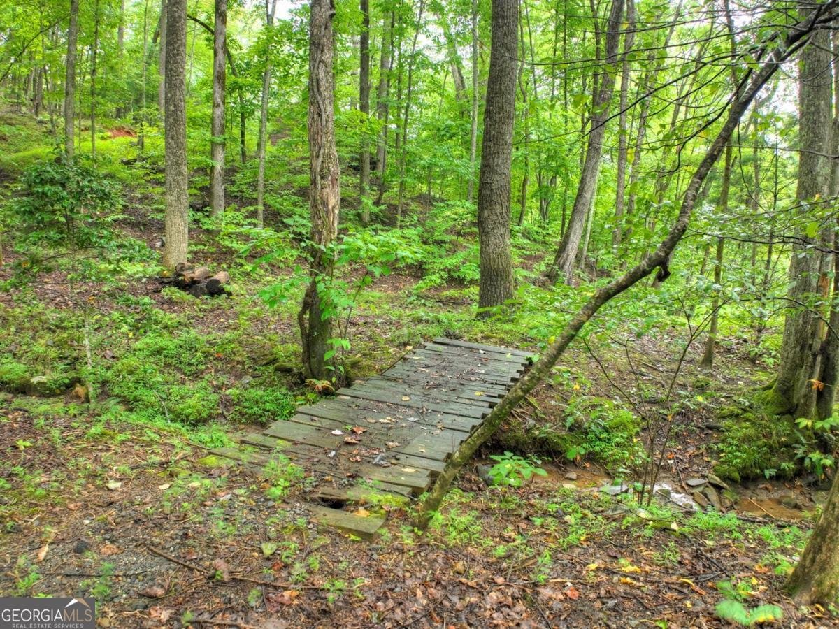 430 Chestnut Ridge Blue Ridge - Photo 10