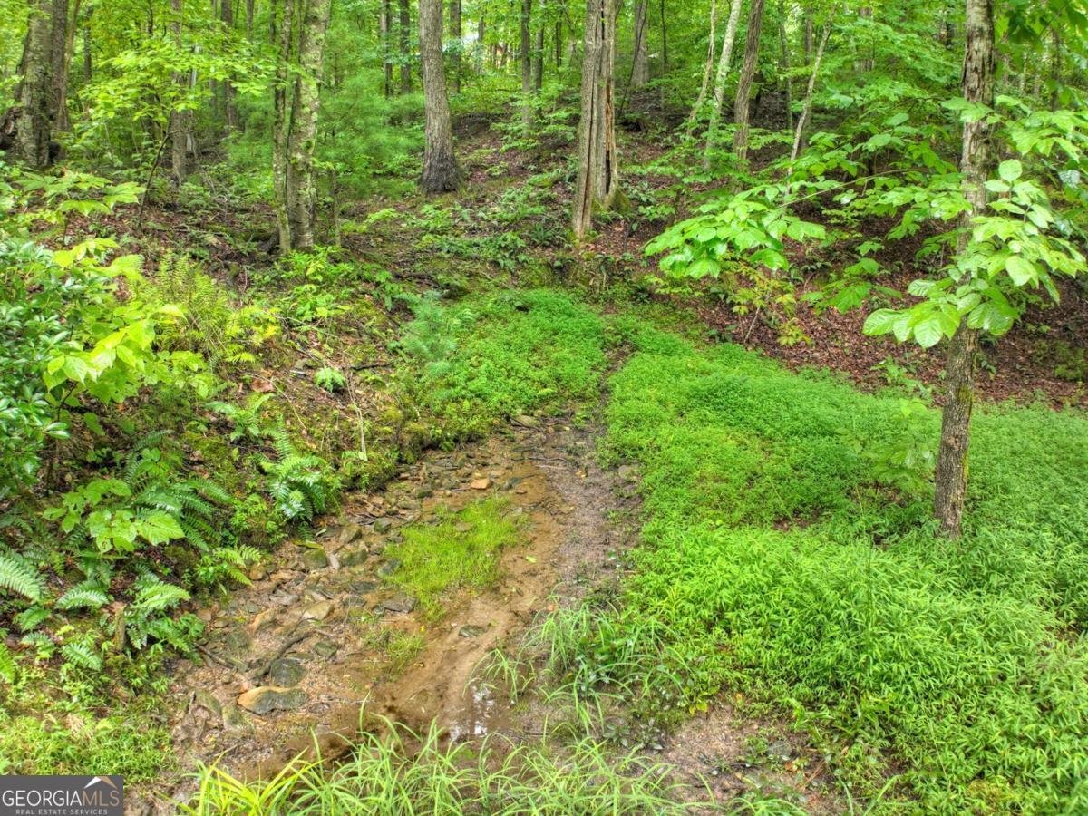 430 Chestnut Ridge Blue Ridge - Photo 11