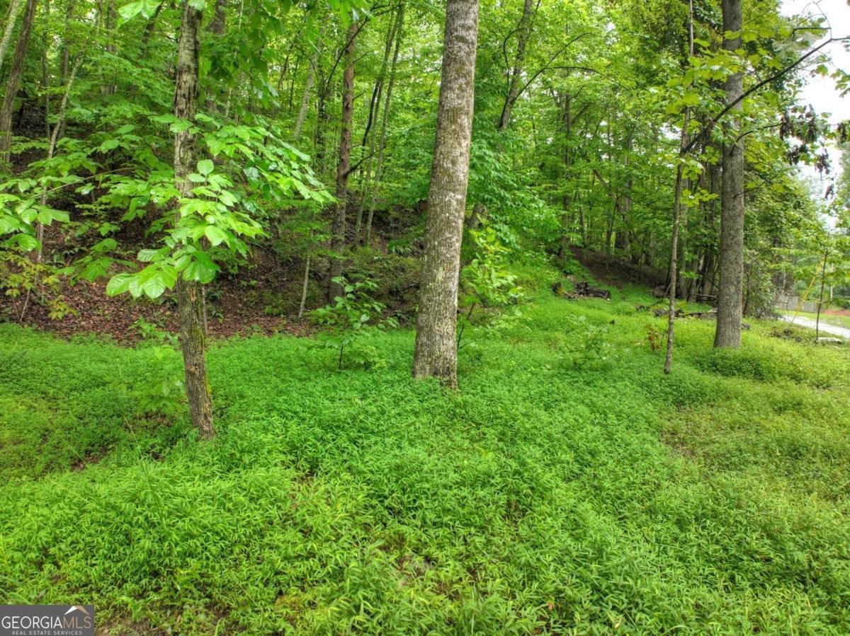 430 Chestnut Ridge Blue Ridge - Photo 18