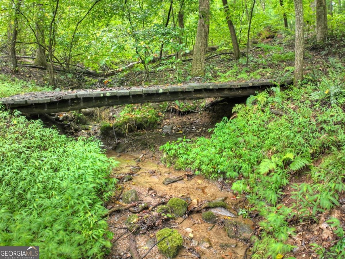 430 Chestnut Ridge Blue Ridge - Photo 19