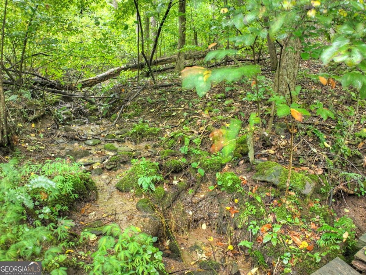 430 Chestnut Ridge Blue Ridge - Photo 32