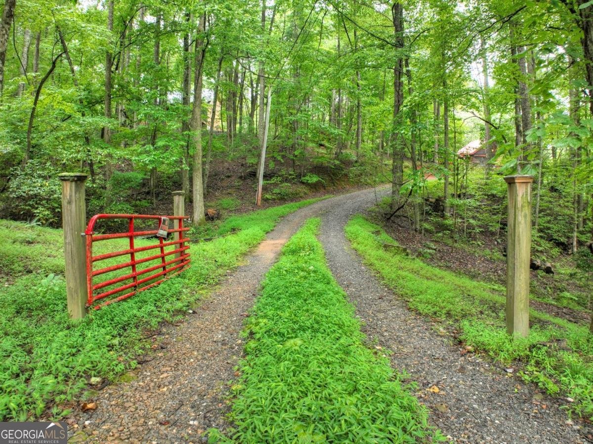 430 Chestnut Ridge Blue Ridge - Photo 36