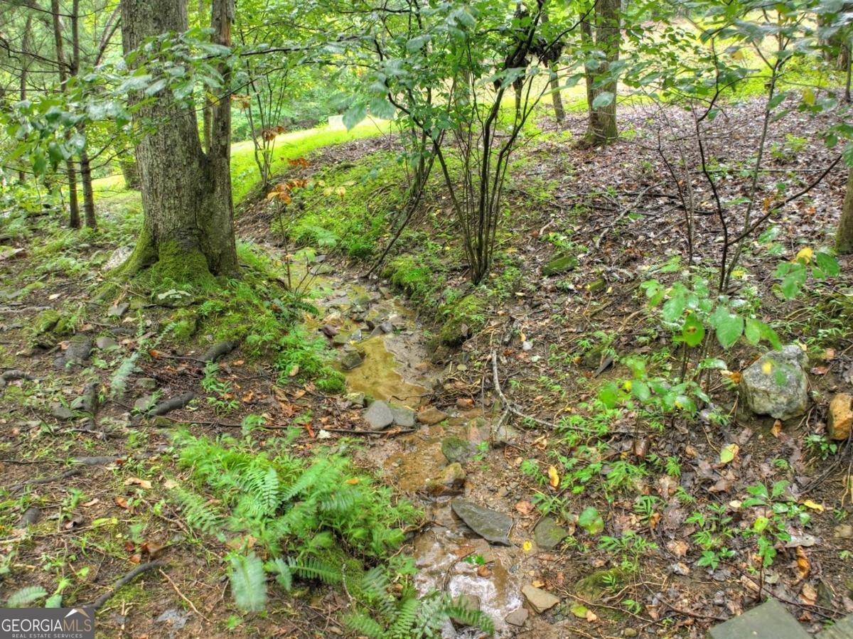 430 Chestnut Ridge Blue Ridge - Photo 37