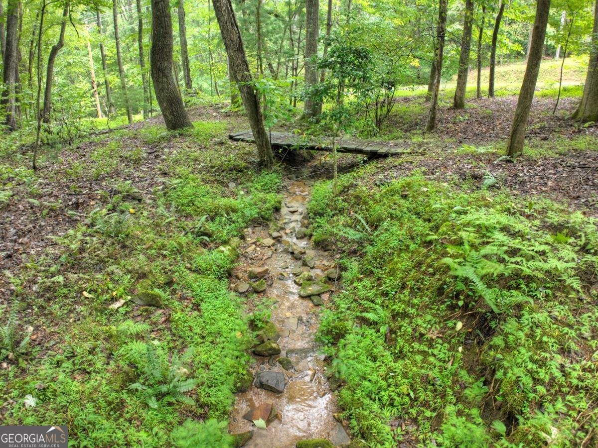 430 Chestnut Ridge Blue Ridge - Photo 38