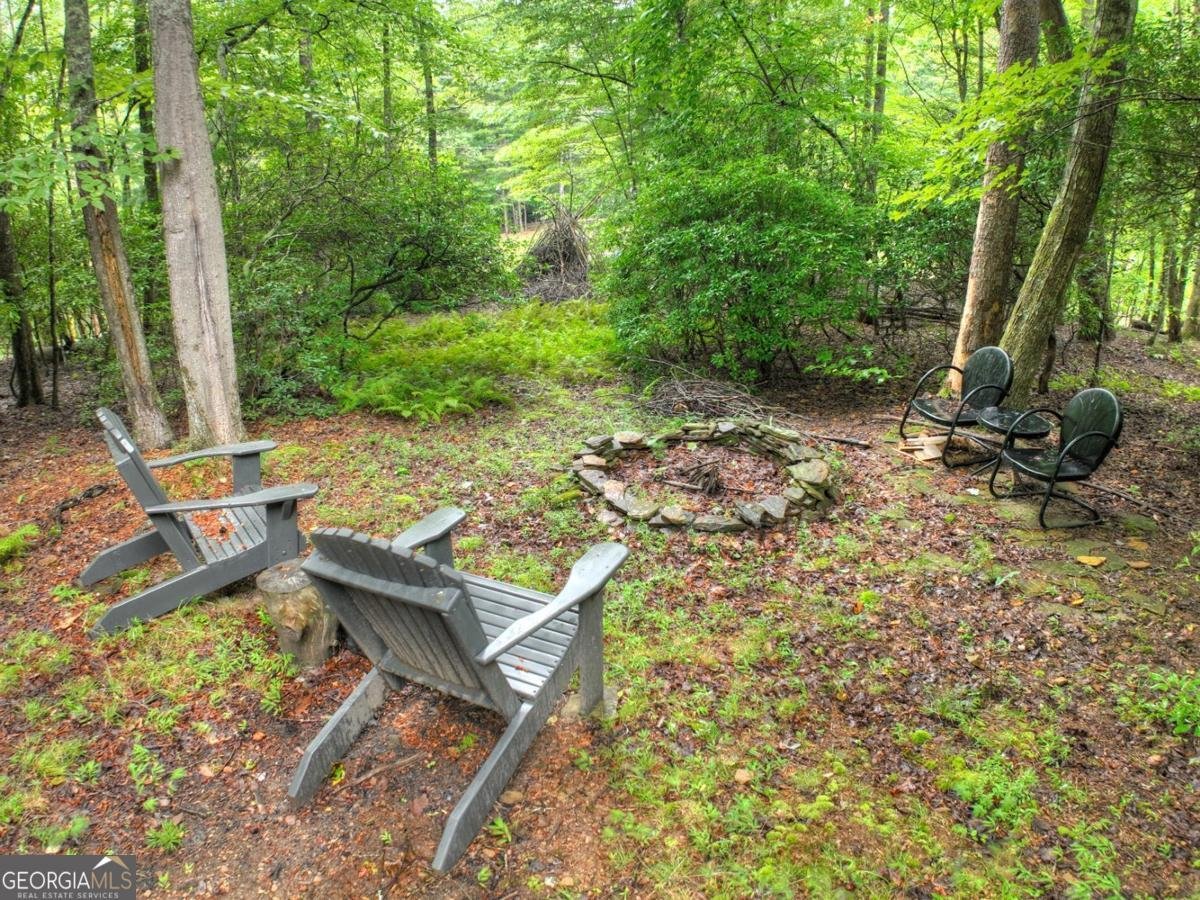 430 Chestnut Ridge Blue Ridge - Photo 40