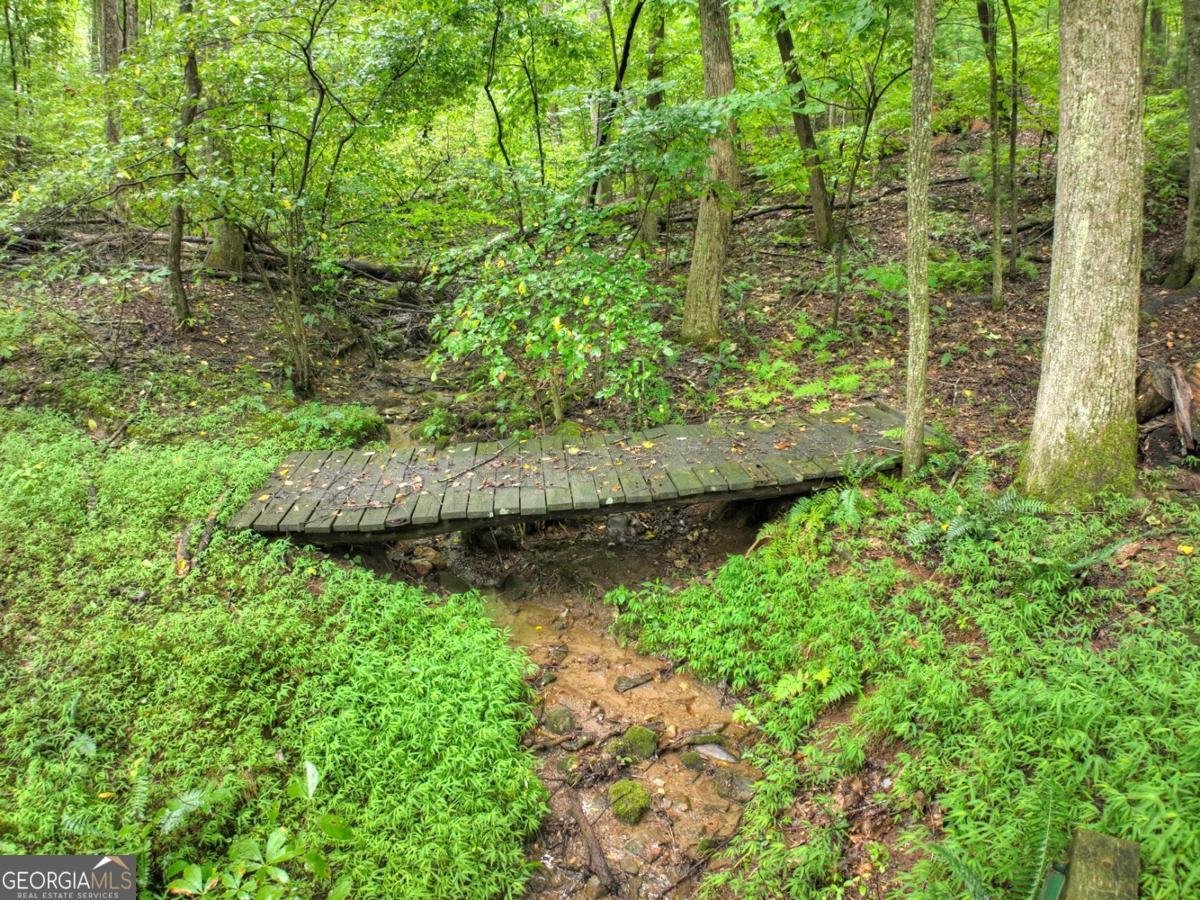 430 Chestnut Ridge Blue Ridge - Photo 6