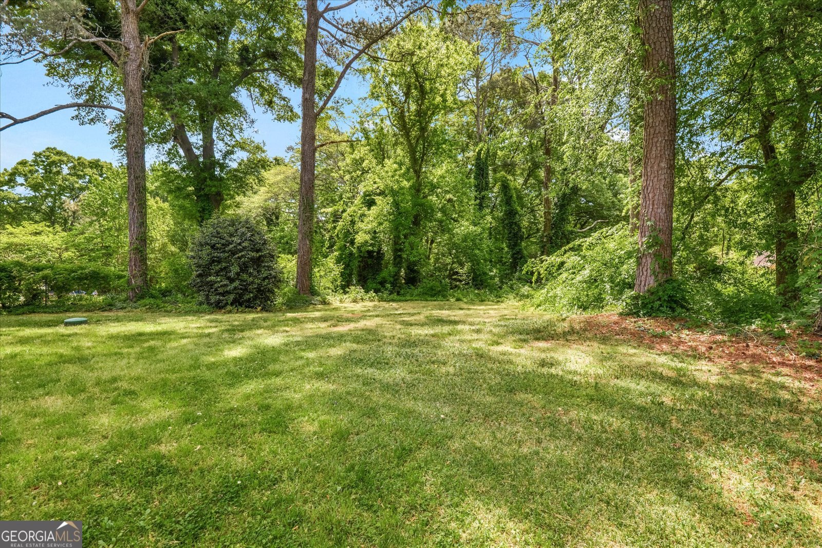 245 Lunie Drive Mableton - Photo 42