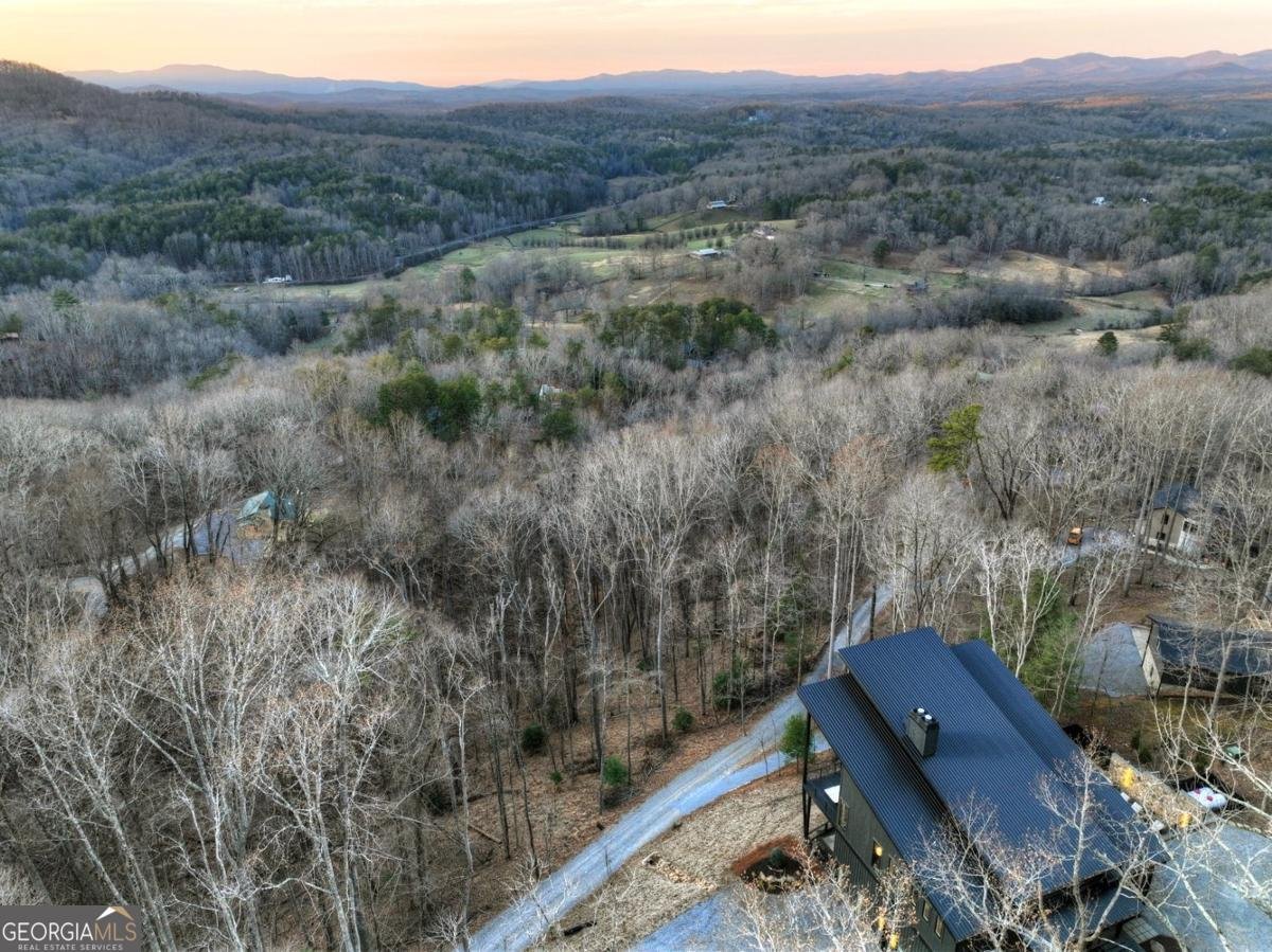 415 Green Ridge Trail Blue Ridge - Photo 10