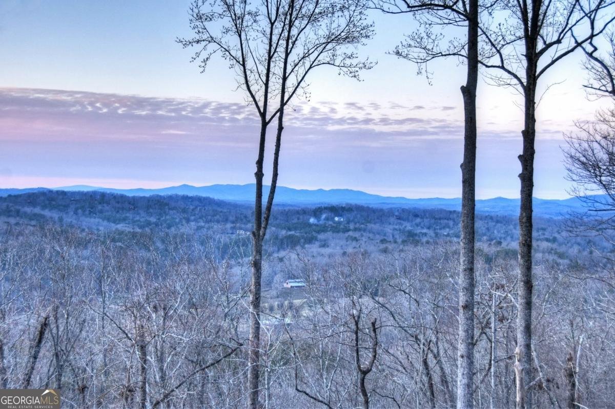 415 Green Ridge Trail Blue Ridge - Photo 13