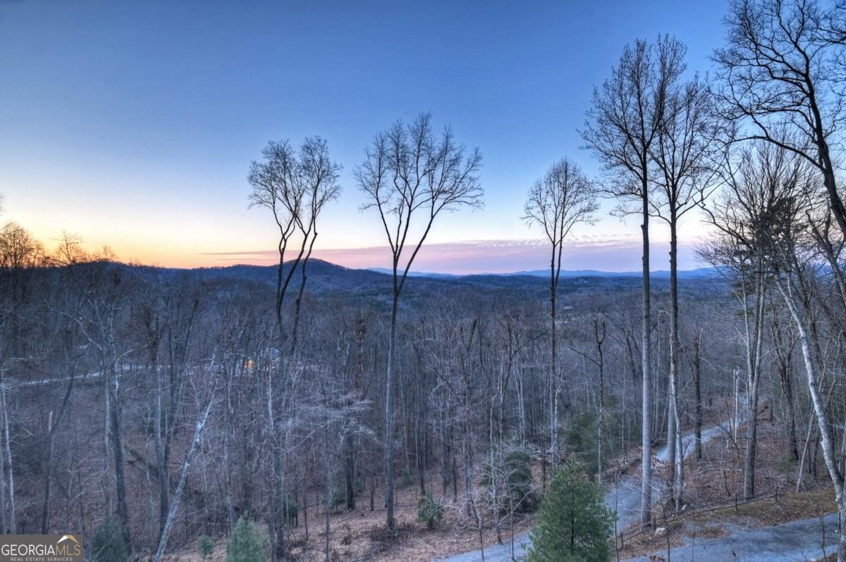 415 Green Ridge Trail Blue Ridge - Photo 29