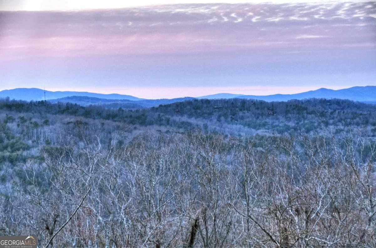 415 Green Ridge Trail Blue Ridge - Photo 44