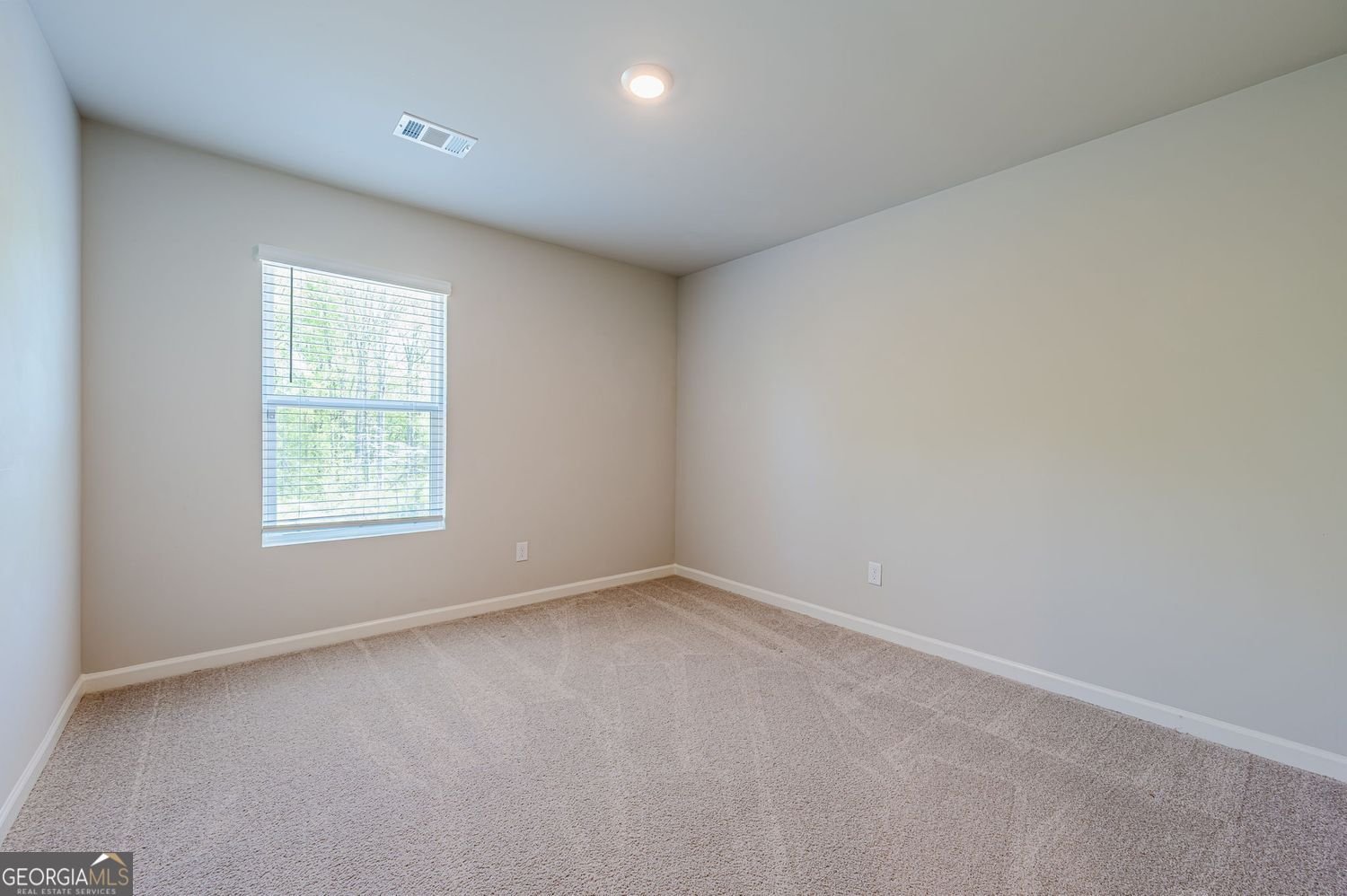 158 Barnwood Lane Dawsonville - Photo 27