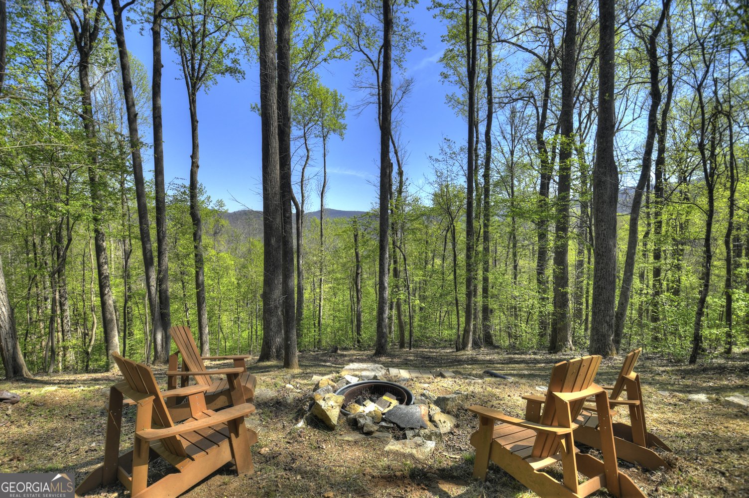 1831 Walnut Ridge Ellijay - Photo 37