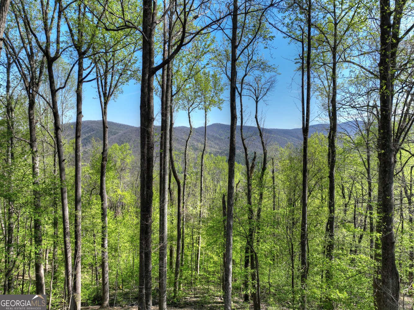 1831 Walnut Ridge Ellijay - Photo 40