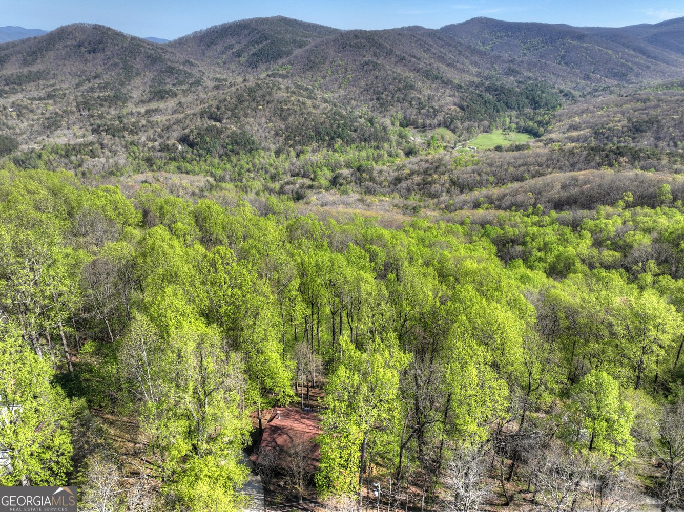 1831 Walnut Ridge Ellijay - Photo 48